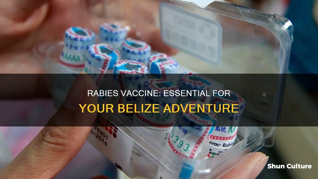 do I need rabies vaccine for belize