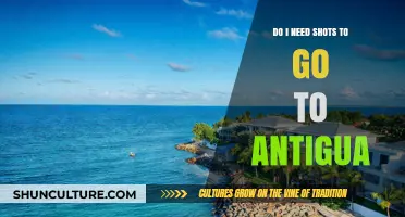 Traveling to Antigua: Essential Vaccinations and Health Tips for Visitors