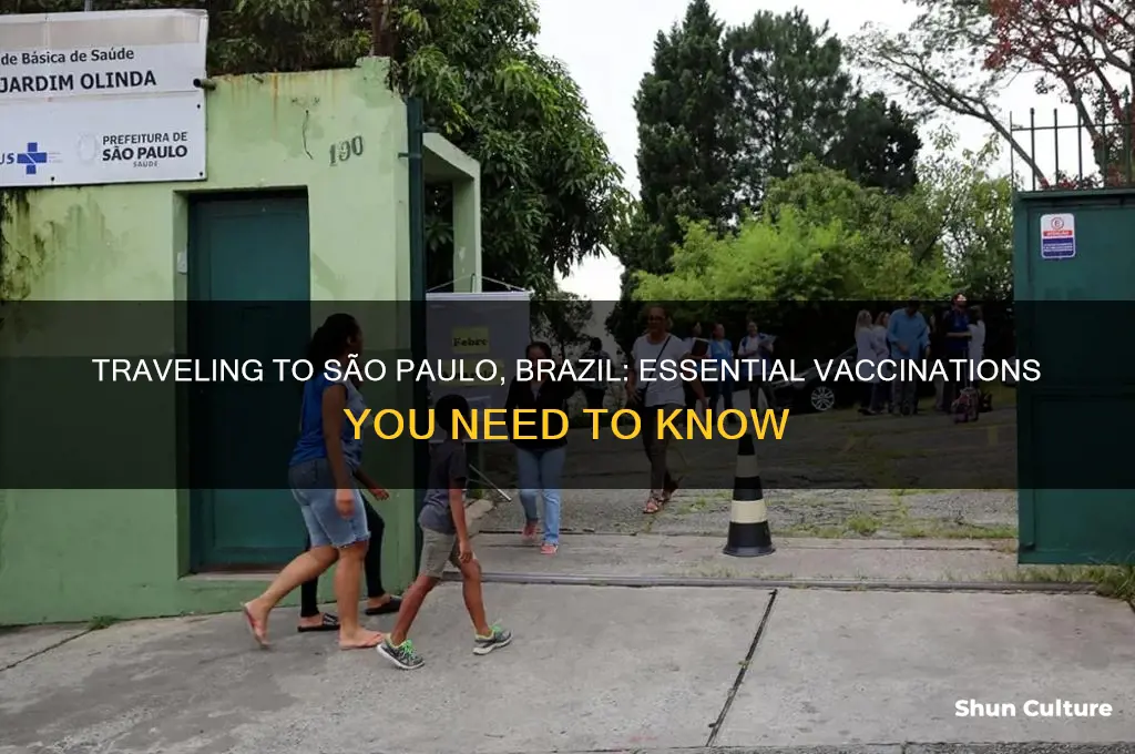 do I need shots to go to sao paulo brazil