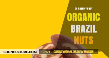 Organic Brazil Nuts: Are They Worth the Extra Cost?