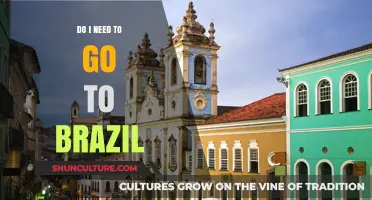 Should You Visit Brazil? Exploring the Pros and Cons of Traveling There