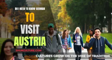 Exploring Austria: Is German a Must-Know for Tourists?