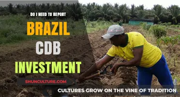 Reporting Brazil CDB Investments: What You Need to Know