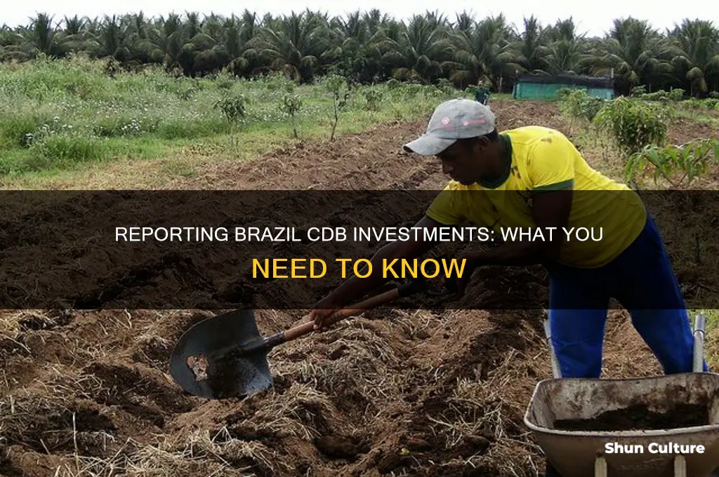 do I need to report brazil cdb investment