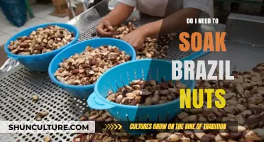 Should You Soak Brazil Nuts? Benefits and Best Practices Explained