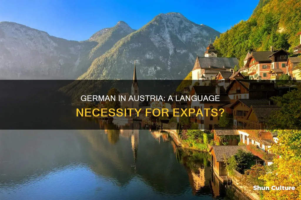 do I need to speak german to live in austria