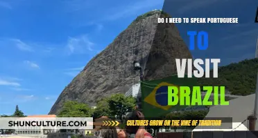 Exploring Brazil: Is Speaking Portuguese Essential for Your Visit?