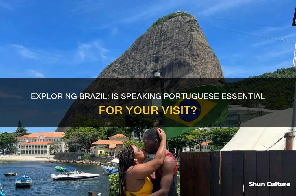 do I need to speak portuguese to visit brazil