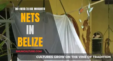 Mosquito Nets: A Must-Have for Belize?