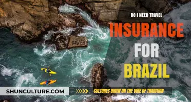 Travel Insurance for Brazil: Essential or Optional? Your Guide