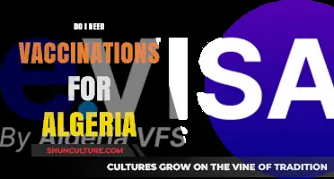 Essential Vaccinations for Algeria: Travel Health Guide and Requirements