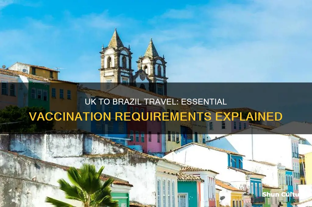 do I need vaccinations for brazil from uk