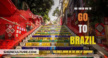 Do I Need a Visa to Visit Brazil? Essential Travel Requirements