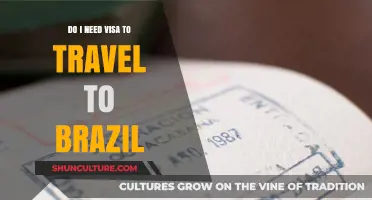 Traveling to Brazil: Visa Requirements and Essential Information for Visitors