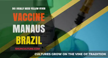Yellow Fever Vaccine for Manaus, Brazil: Is It Necessary?