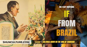 Hispanic or Not? Clarifying Cultural Identities for Brazilians