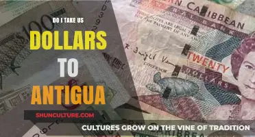 Should You Bring US Dollars to Antigua? Travel Money Tips