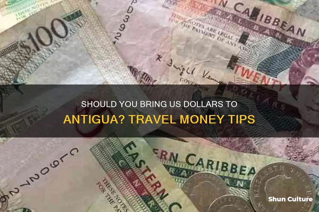 do I take us dollars to antigua