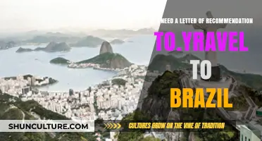 Traveling to Brazil: Is a Letter of Recommendation Required?