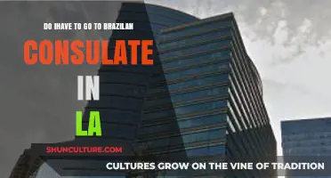 Do I Need to Visit the Brazilian Consulate in LA?