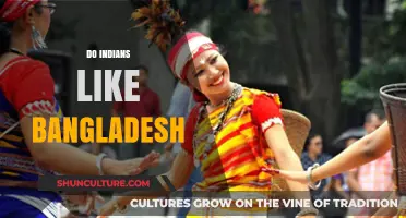 Do Indians Like Bangladesh? Exploring Cultural Ties and Perceptions