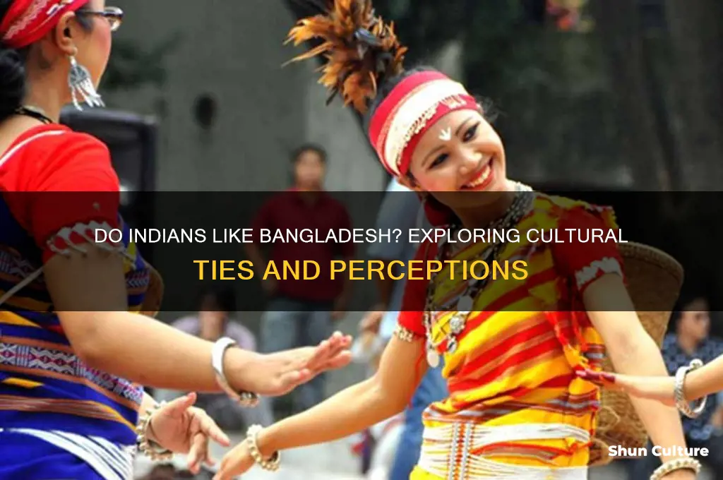 do indians like bangladesh