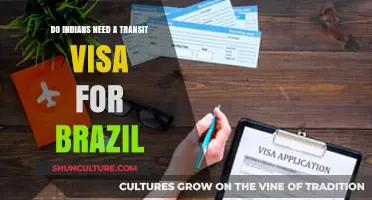 Do Indians Need a Transit Visa for Brazil? Find Out Here