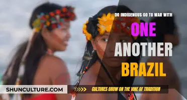 Indigenous Warfare in Brazil: Historical Conflicts Among Native Tribes