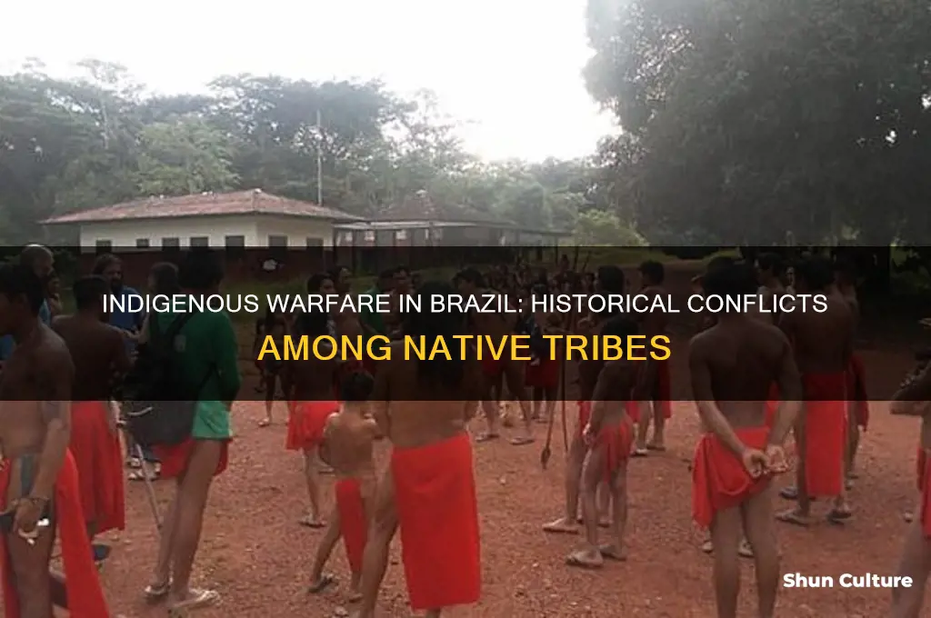 do indigenous go to war with one another brazil