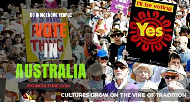 Indigenous Australians' Voting Rights and Political Participation