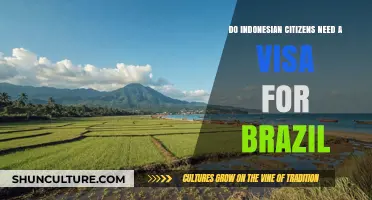 Do Indonesian Citizens Need a Visa for Brazil? Find Out Here