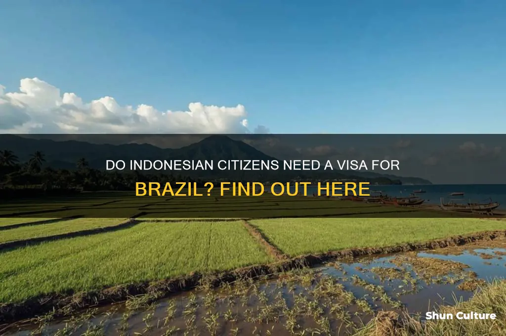 do indonesian citizens need a visa for brazil