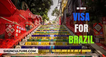 Do I Need a Visa for Brazil? Essential Travel Requirements Explained