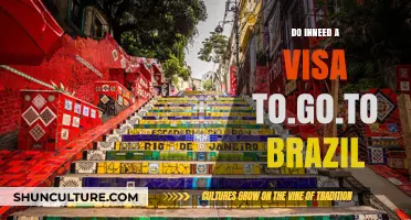 Traveling to Brazil: Visa Requirements and Essential Information for Visitors