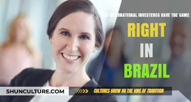 International Investors in Brazil: Equal Rights or Legal Limitations?