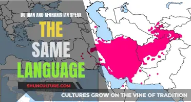 The Linguistic Divide: Exploring Language Differences Between Iran and Afghanistan