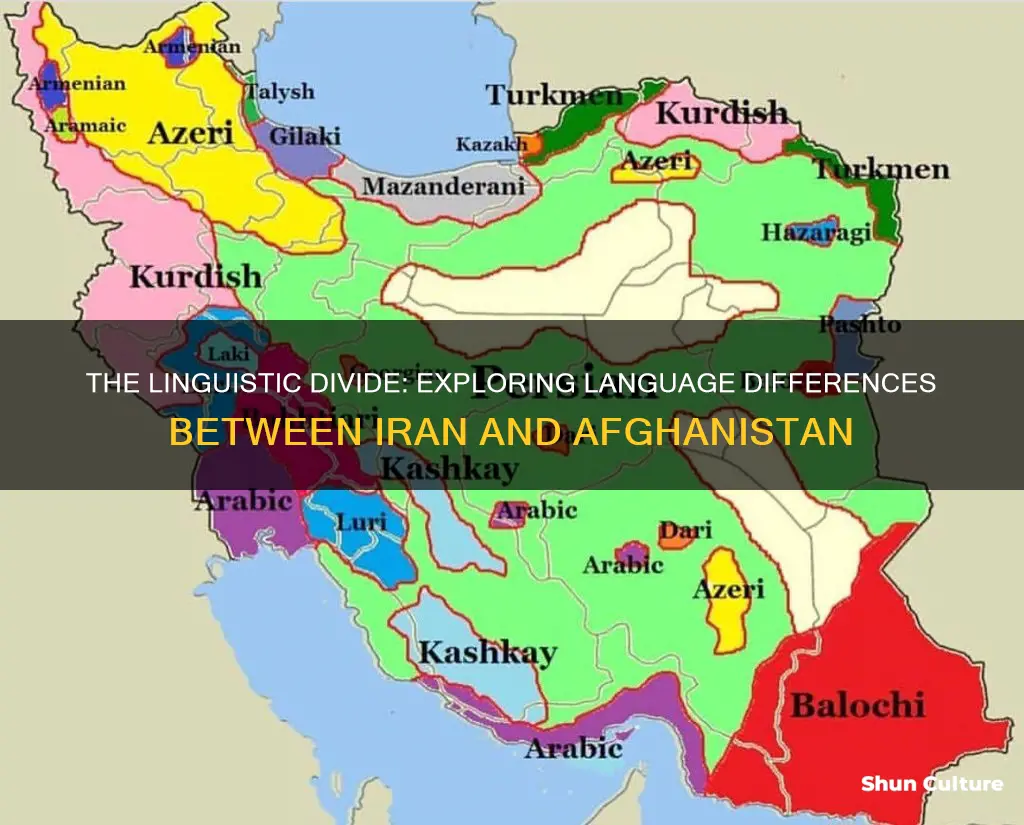 do iran and afghanistan speak the same language