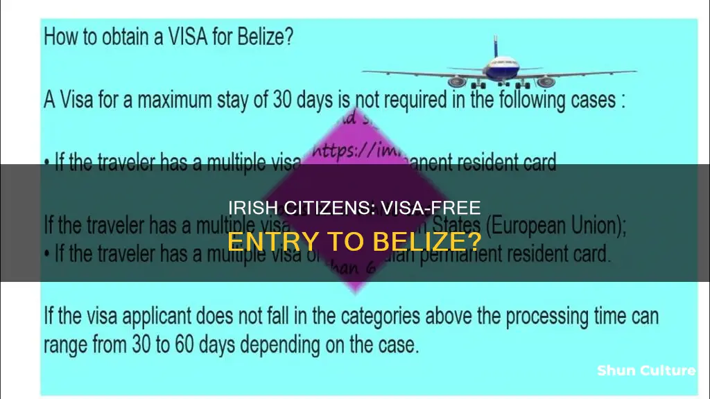 do irish citizens need a visa for belize