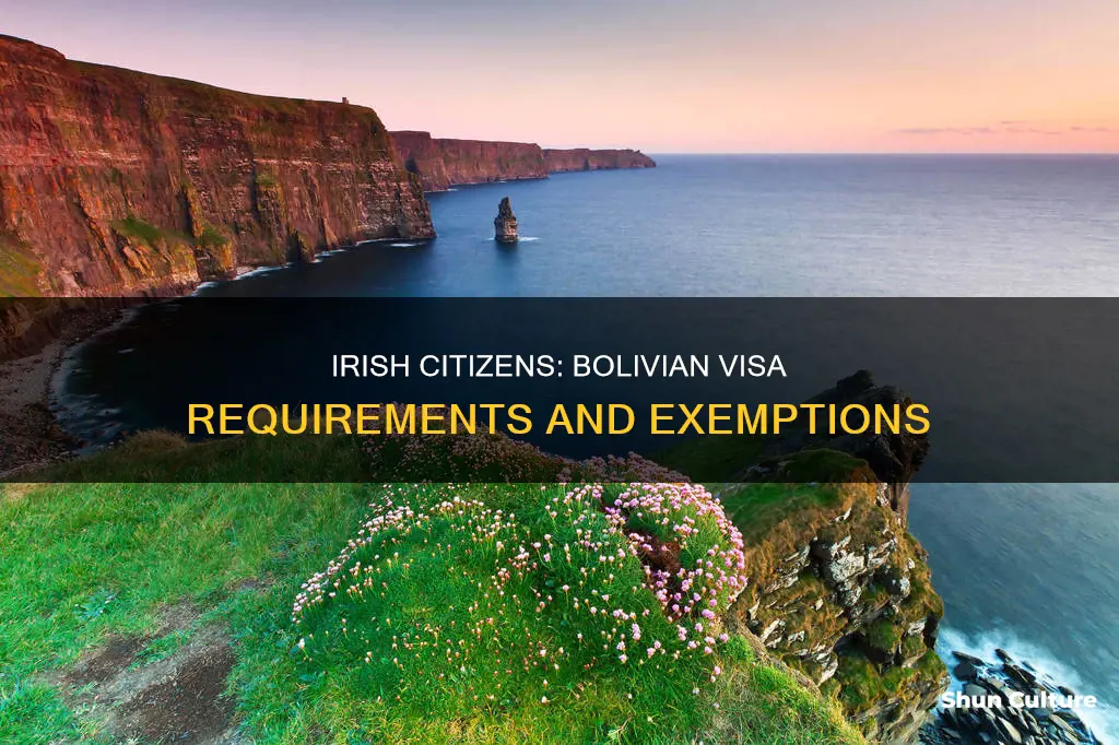 do irish citizens need a visa for bolivia