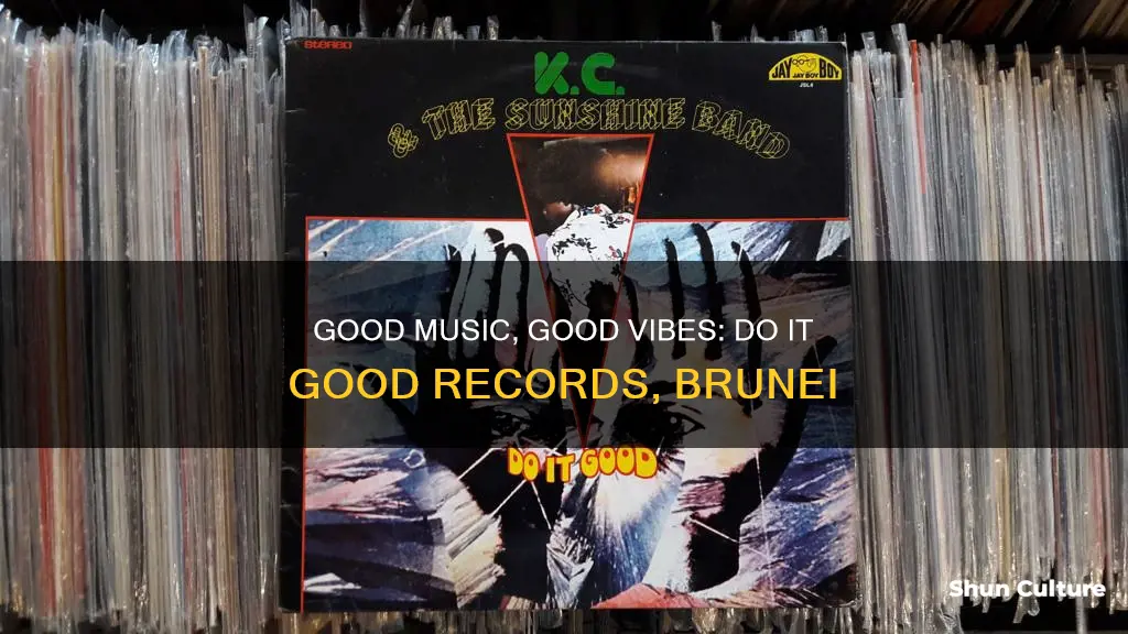 do it good records brunei