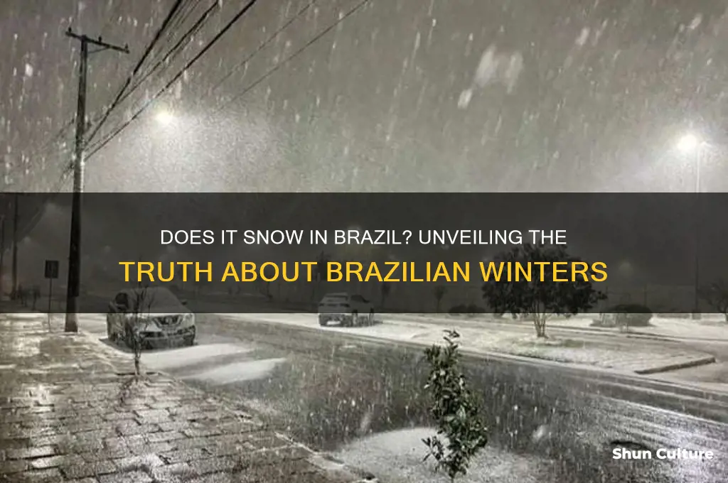 do it snow in brazil