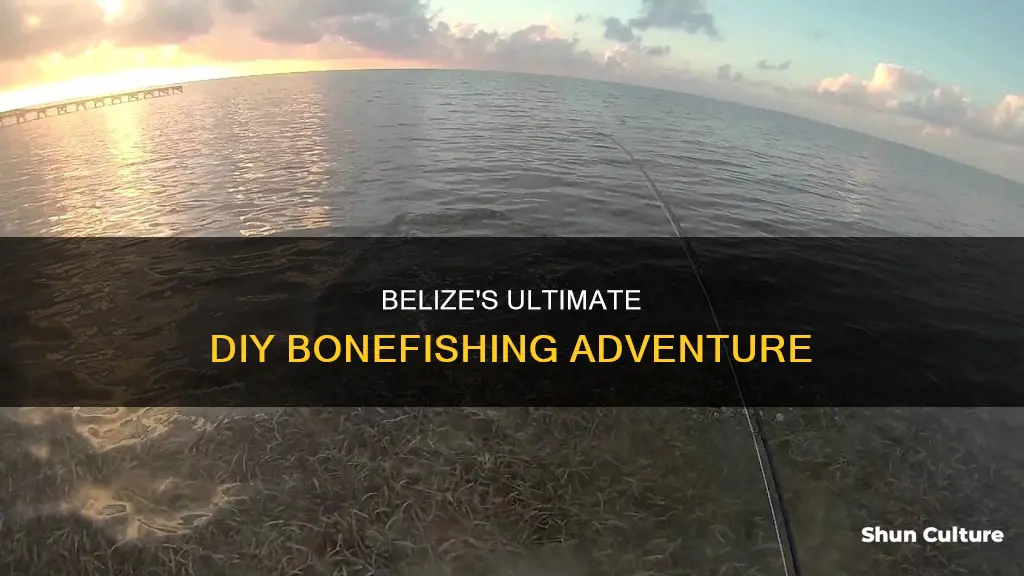 do it yourself bonefishing belize