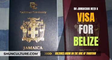 Jamaicans' Visa Requirements for Belize: All You Need to Know