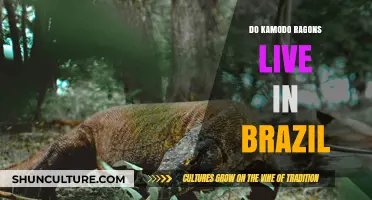 Do Komodo Dragons Live in Brazil? Unraveling the Myth and Facts