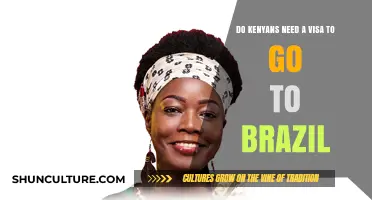 Do Kenyans Need a Visa to Visit Brazil? Find Out Here