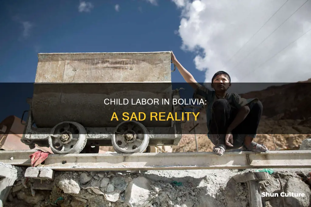 do kids work in bolivia