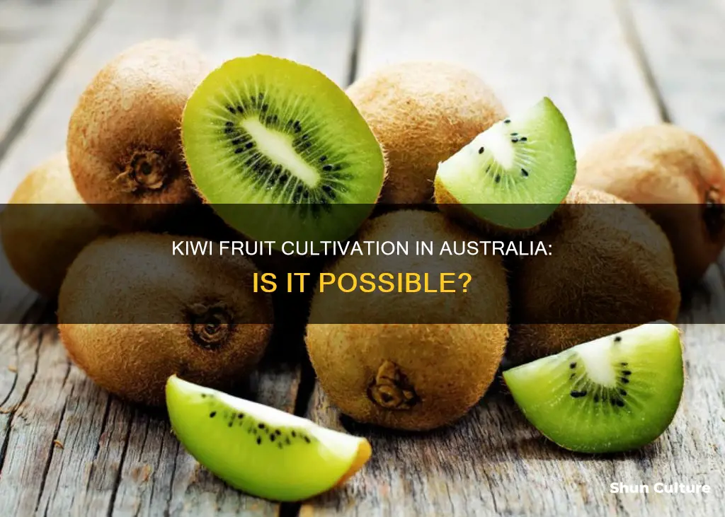 do kiwi fruit grow in australia