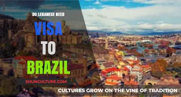 Do Lebanese Citizens Need a Visa to Visit Brazil?