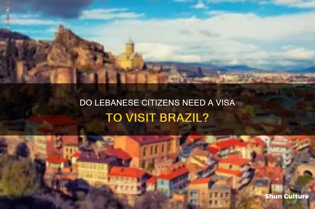 do lebanese need visa to brazil