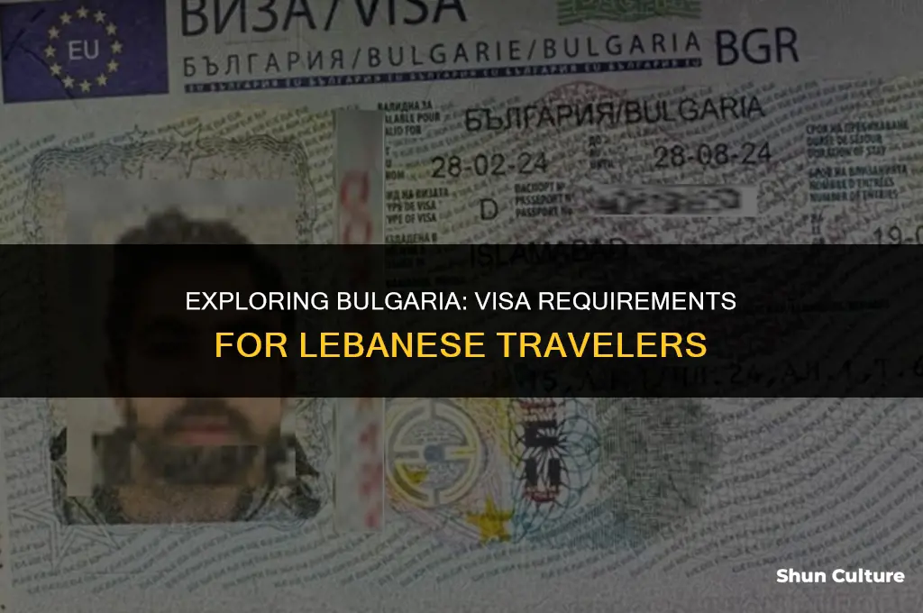 do lebanese need visa to bulgaria